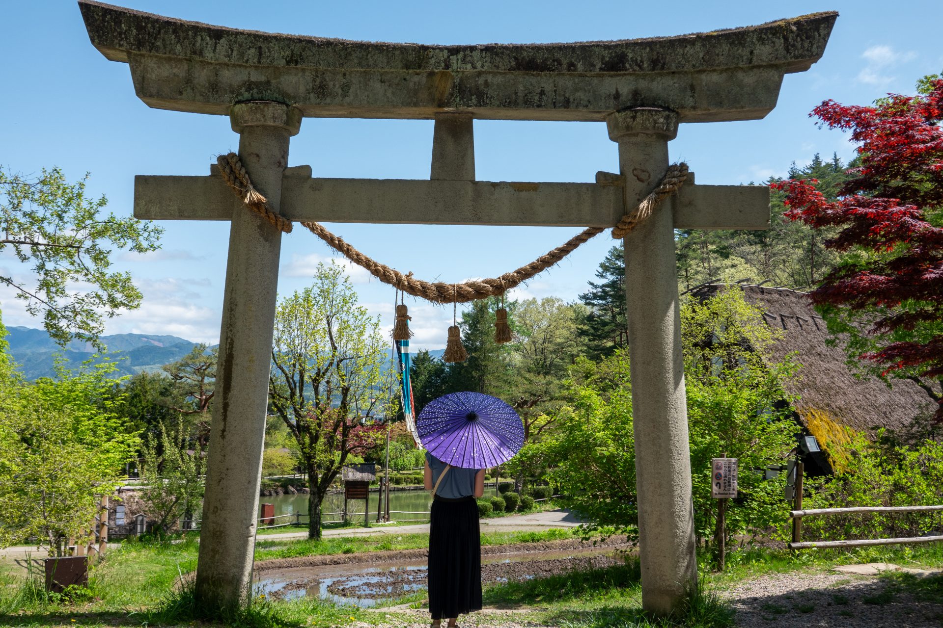 Un tori au parc Hida no Sato à Takayama